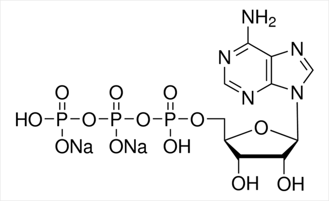 Adenosine triphosphate analysis