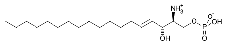 Sphingosine-1-phosphate Analysis Service