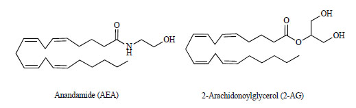 Endocannabinoids Analysis Service