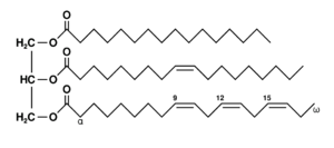 Triglyceride Analysis Service