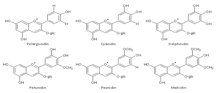 Anthocyanins Analysis Service