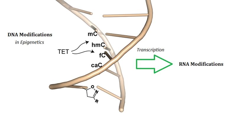  Bioanalysis of DNA Methylations