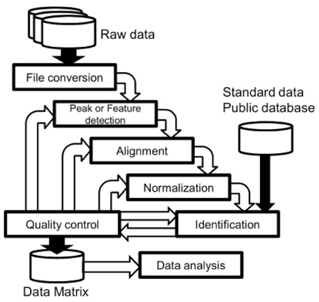 Bioinformatic Analysis for Metabolomics Study