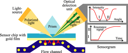 Biomolecular Interaction Analysis