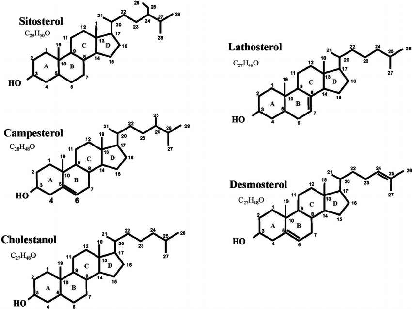 Cholestanol Analysis Service