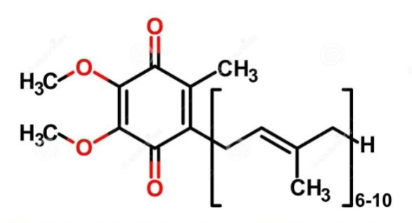 Coenzyme Q10 Analysis Service