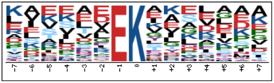 Conserved Sequences Analysis Service