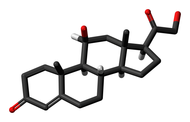 Corticosterone Analysis Service