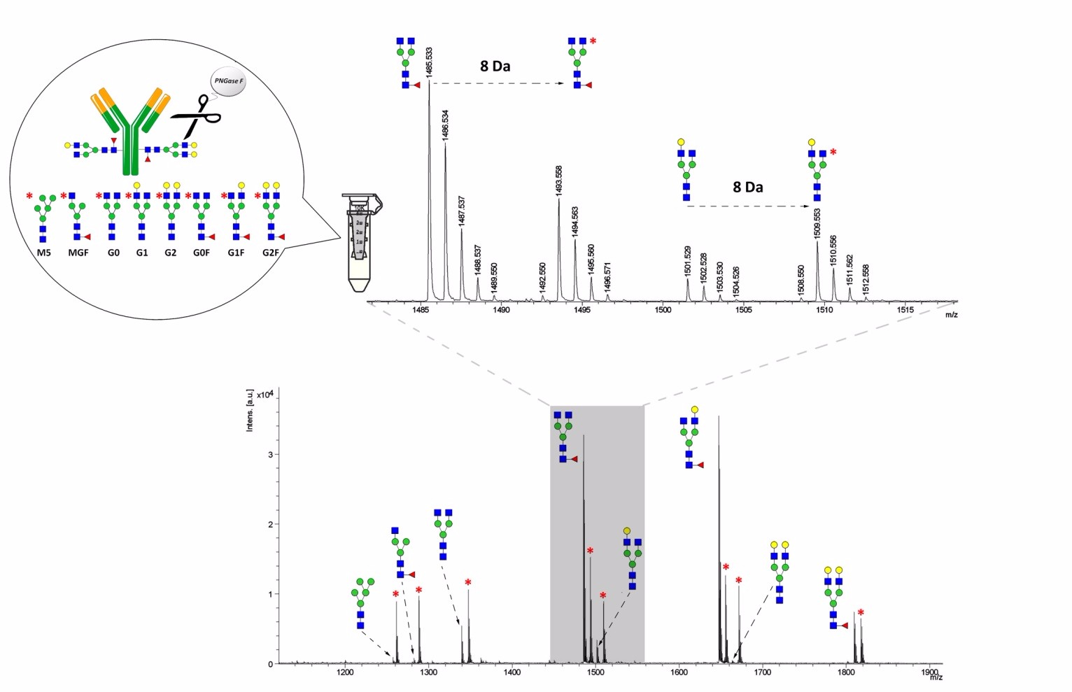 Glycan Quantification