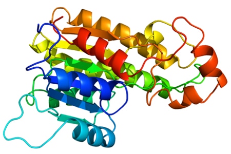 Homology Modeling Service