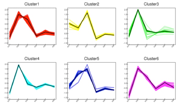 K-means Clustering Service