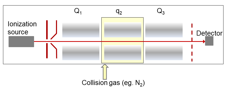 Mass Spectrometry Platform