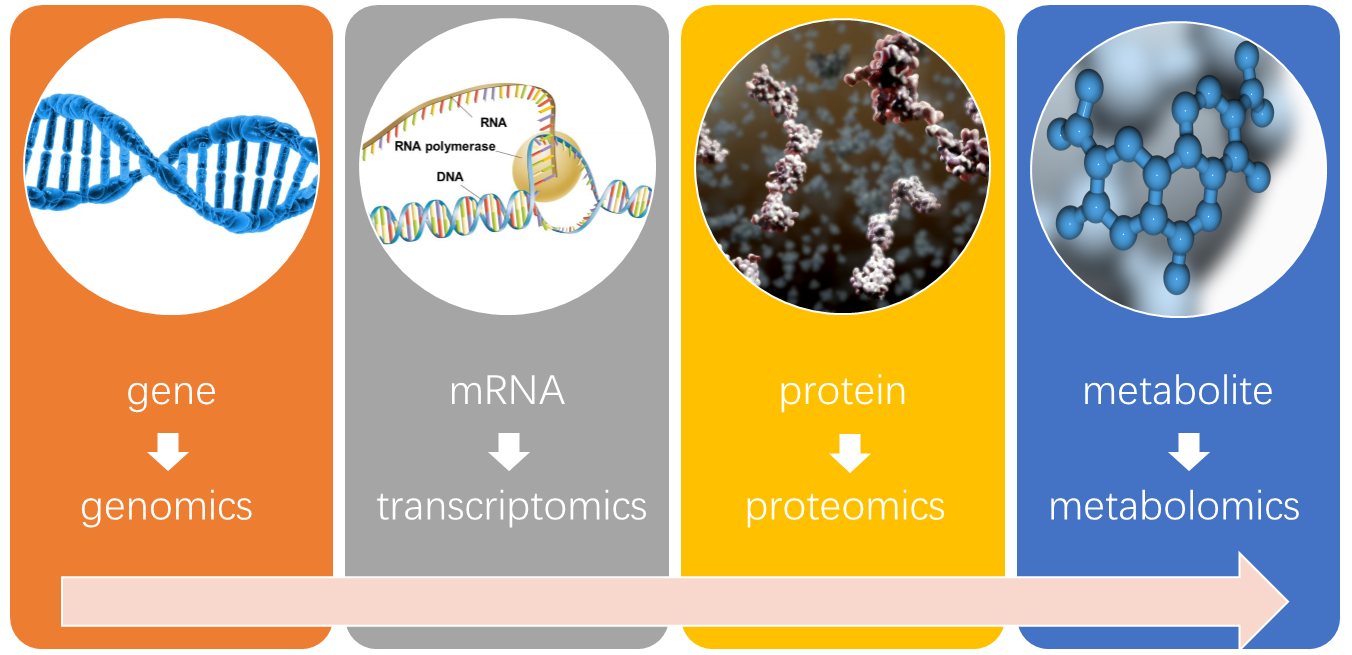 Metabolomics Service