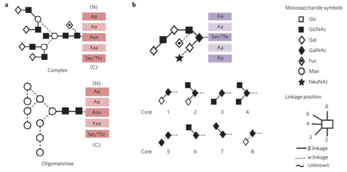 N-Glycan Linkage Analysis by HILIC-UHPLC