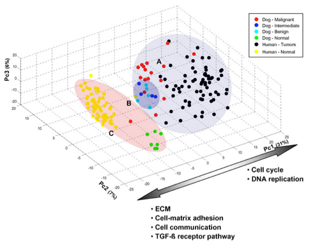 Principal Component Analysis