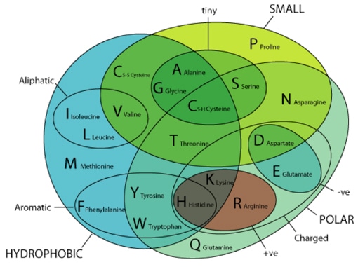 Physicochemical Property Analysis Service