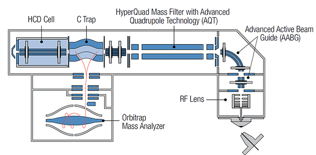 Schematic of the Q Exactive Plus mass spectrometer