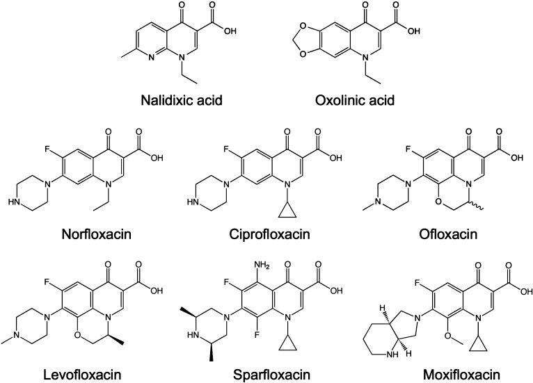 Quinolones Analysis Service