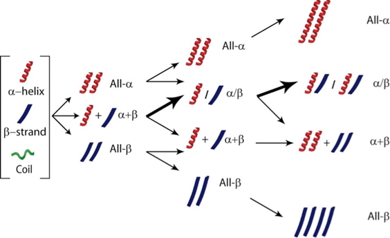 Sequence-based Evolution Analysis of Proteins Service