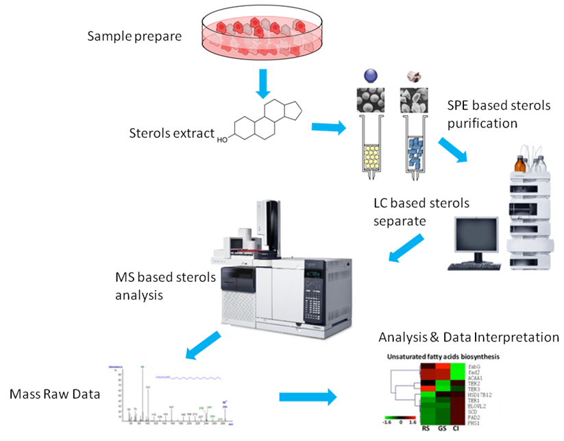 Sterol Lipids analysis Service