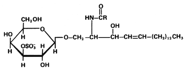 Sulfatides Analysis Service