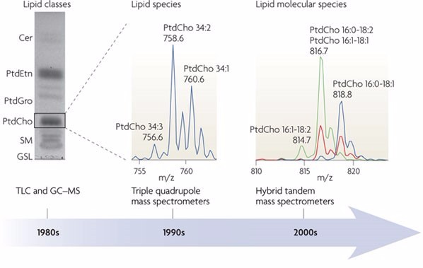 Untargeted Lipidomics