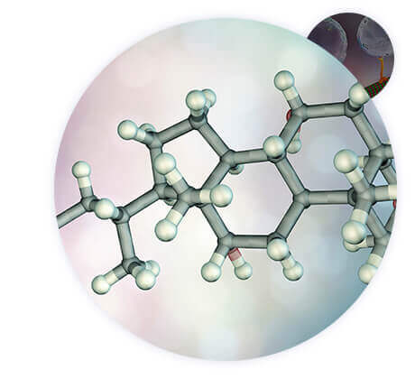 Bile Acids Analysis