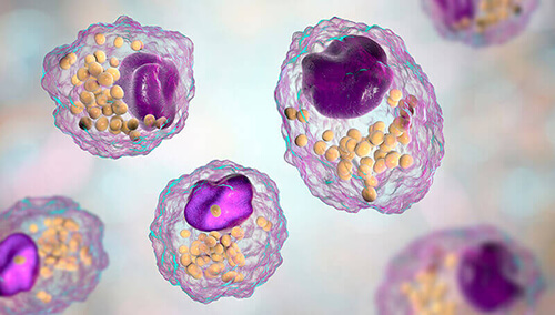 Lipidomics Analysis