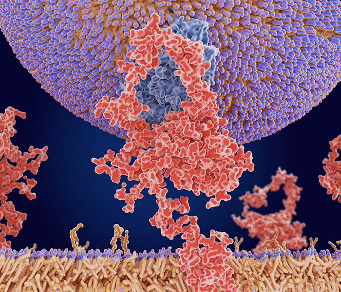 TMT based proteomics service