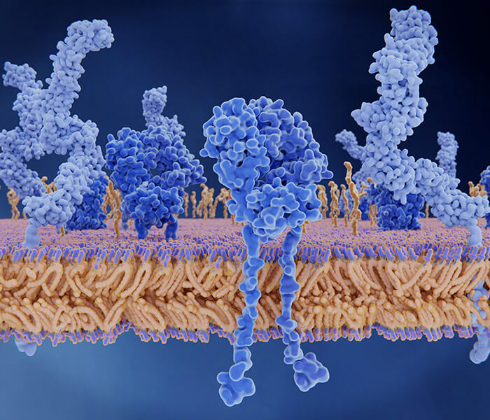 IP-MS Protein Interactomics Solution