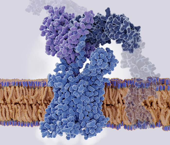 Lipidomics Profiling