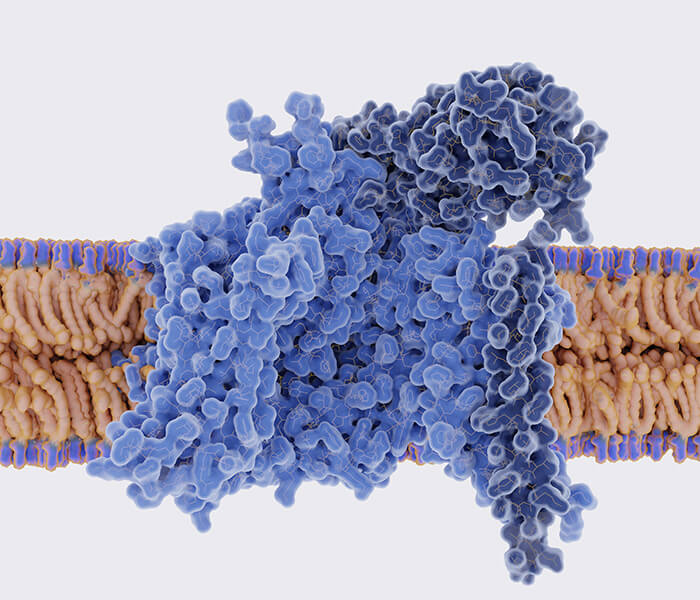 Protein Post-translational Modification Analysis