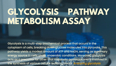 Glycolysis Pathway Metabolism Assay