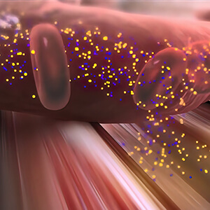 Untargeted Metabolomics