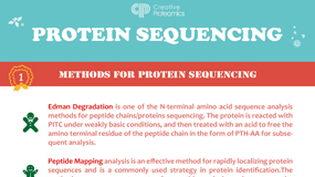 Protein Sequencing