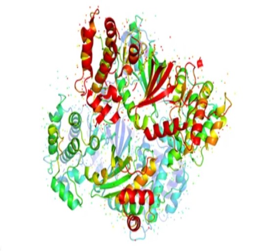 N-Terminal Sequencing