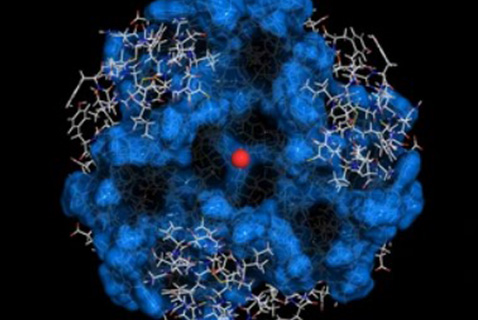 Glycoproteomics Analysis Services