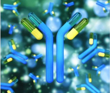 Antibody Epitope Mapping Service