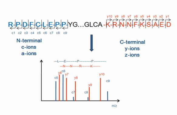 Fig. 1. Principles of ISDMALDI MS.