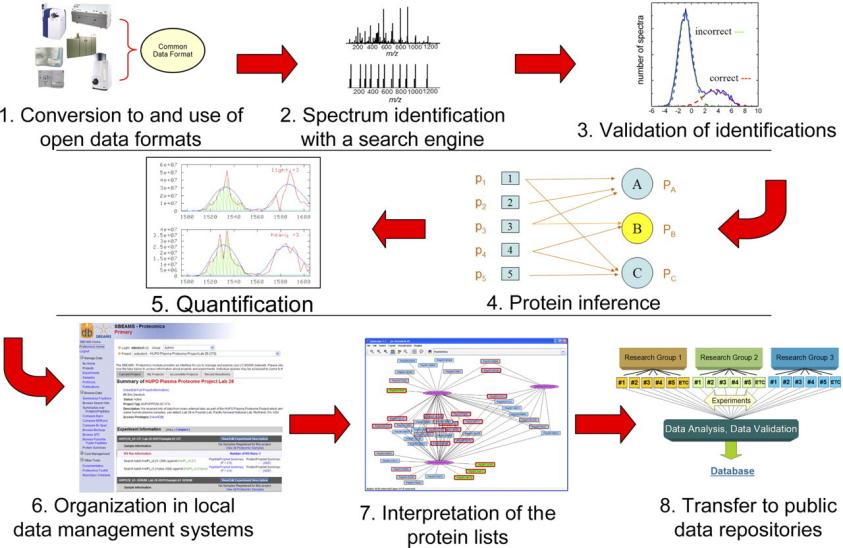 Fig. 1. Schematic overview of the typical workflow of the proteomics informatics processing of a data set.