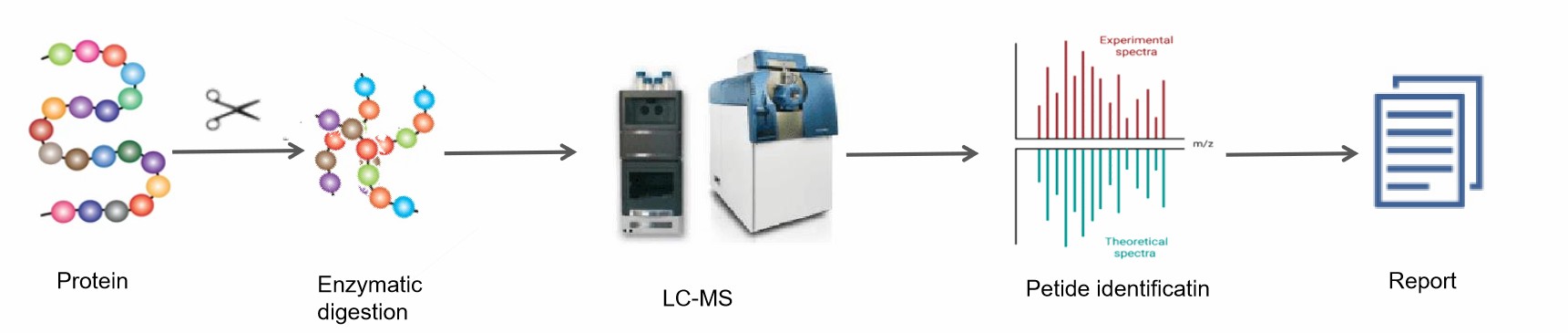 Fig. 2. Workflow of the de novo peptide sequencing.