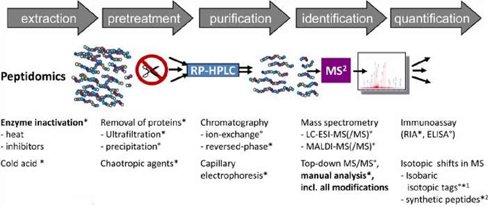 Fig. 1. General methods of peptidomics.