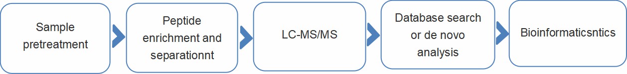 Fig. 2. Experimental process of our peptidomic analysis services.