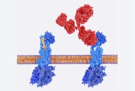 Peptide De Novo Sequencing