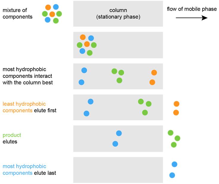 Comparing Reverse-Phase Chromatography with Other Chromatographic Techniques