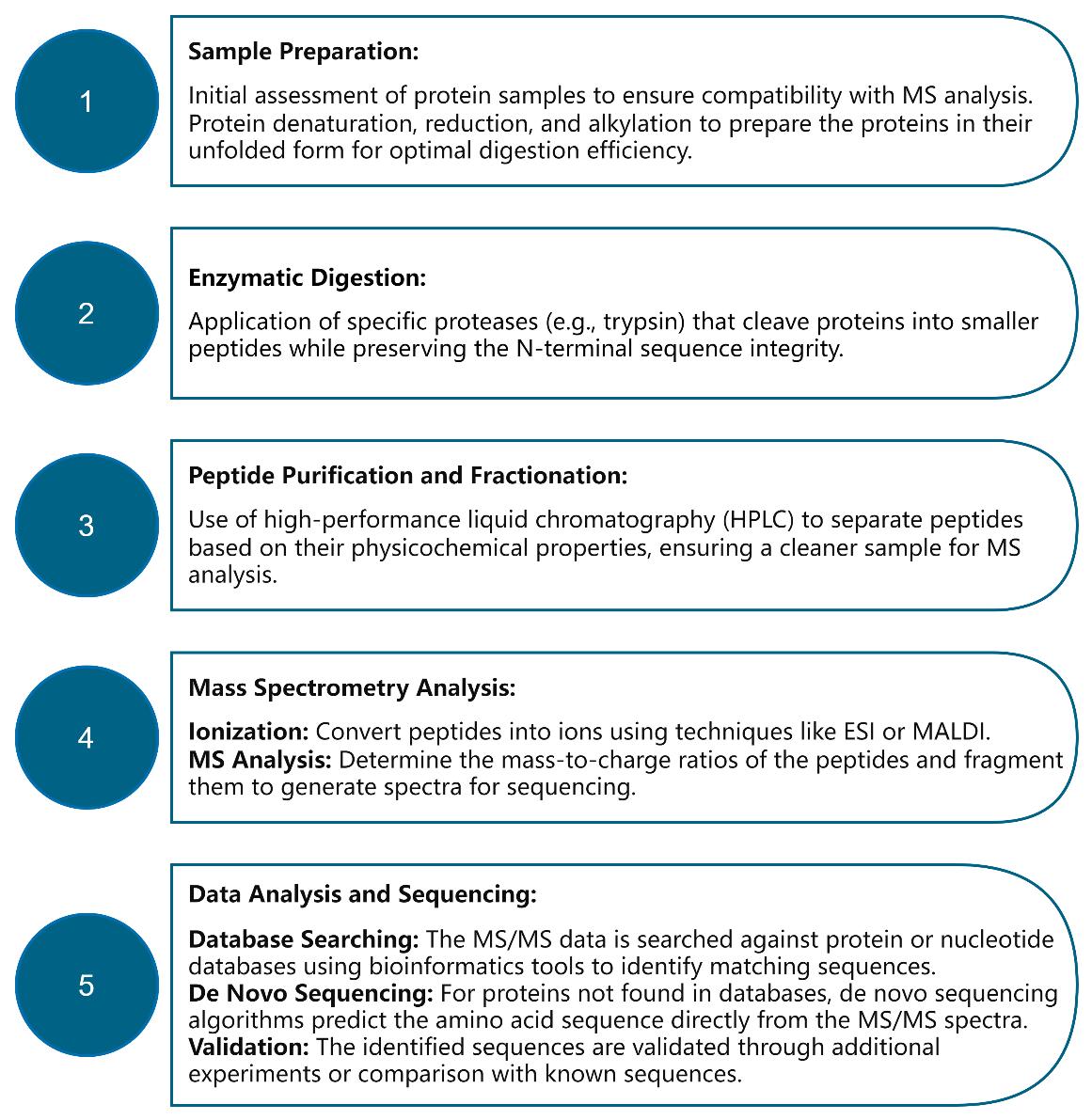 Workflow for N-Terminal Sequencing by Mass Spectrometry