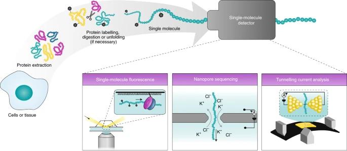 Single Molecule Protein Sequencing Overview