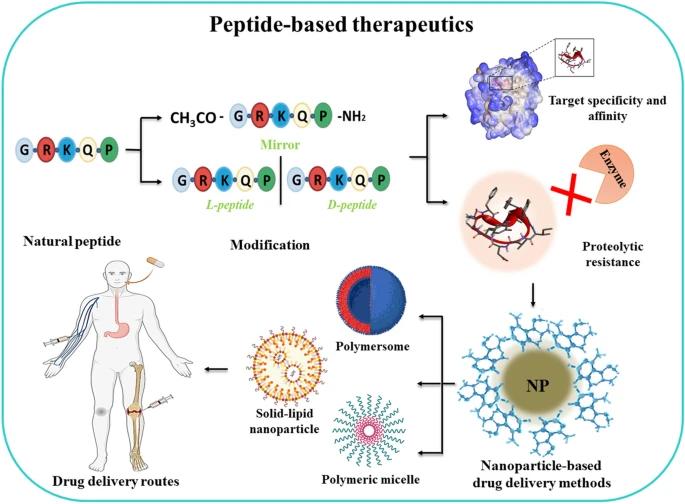 Understanding Peptides: Definitions, Functions, and Applications