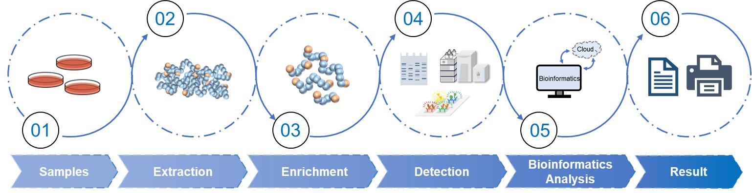 Fig.2 Cell surface proteomics workflow