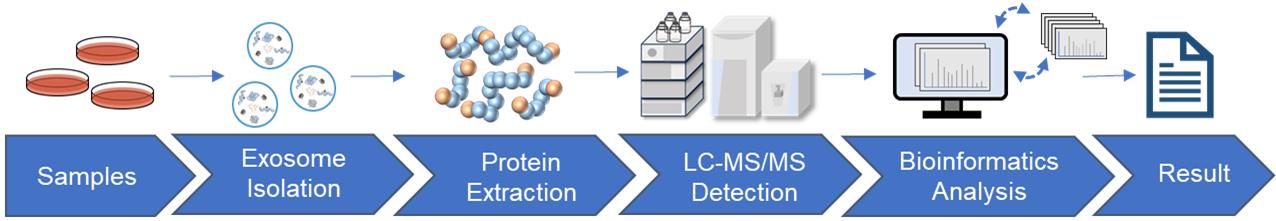 Fig.2 Exosome proteomics workflow